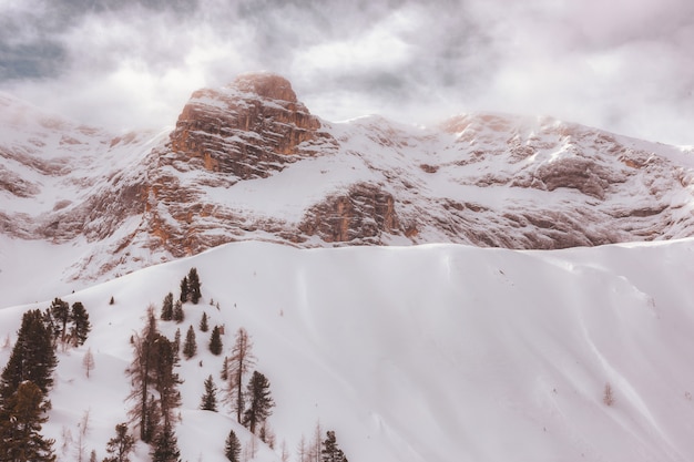 Free photo snow-covered mountain