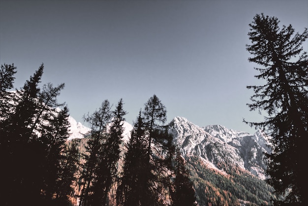 Snow Covered Mountains