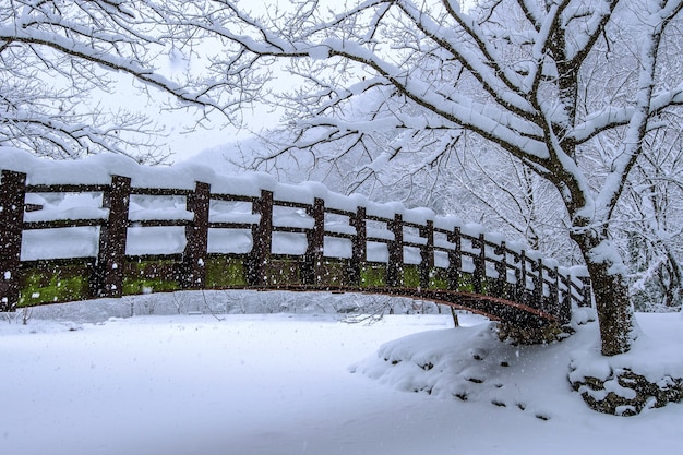 Free photo snow falling in park and a walking bridge in winter, winter landscape