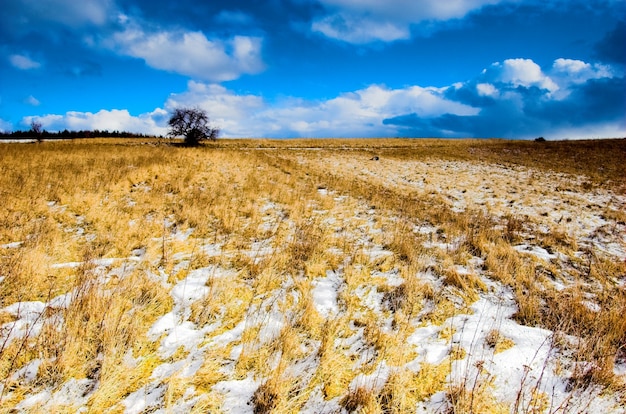 Free Photo snow and field