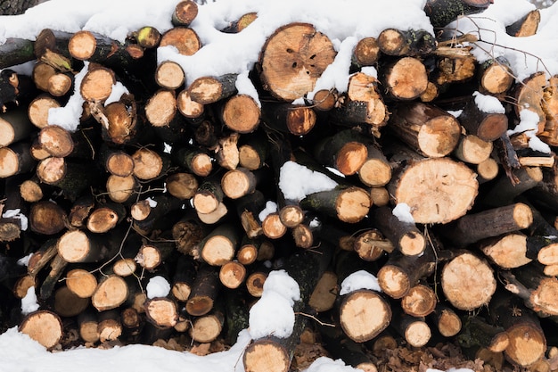 Free Photo snow on firewood in winter