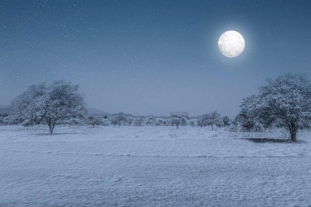 Free Photo snowfield with full moon at night