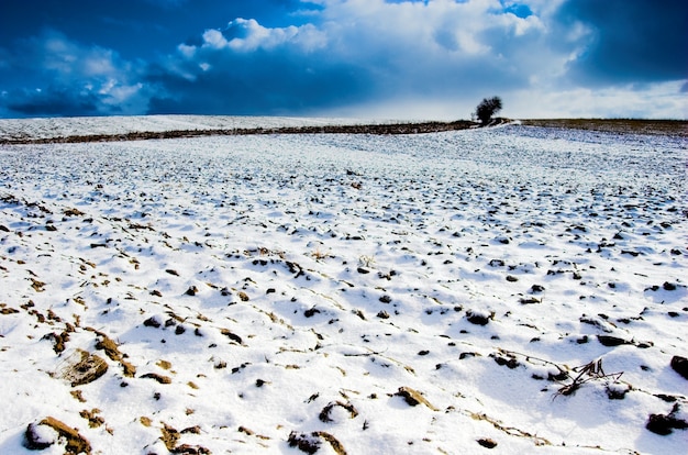 Free Photo snowfield