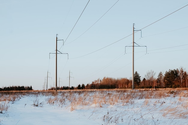 Free photo snowy field with trees and power lines on a winter day