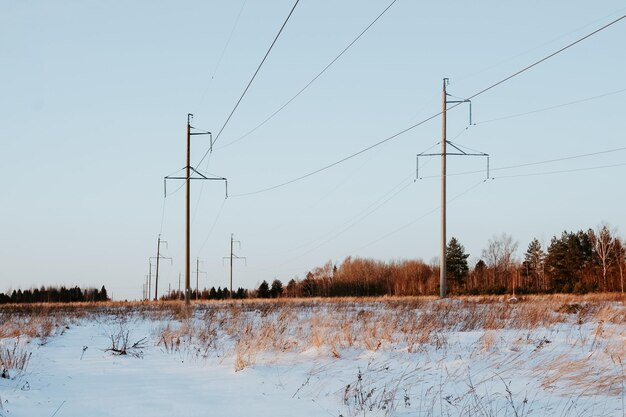 Snowy field with trees and power lines on a winter day