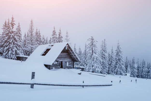 Free photo snowy forest in the carpathians. a small cozy wooden house covered with snow. the concept of peace and winter recreation in the mountains. happy new year