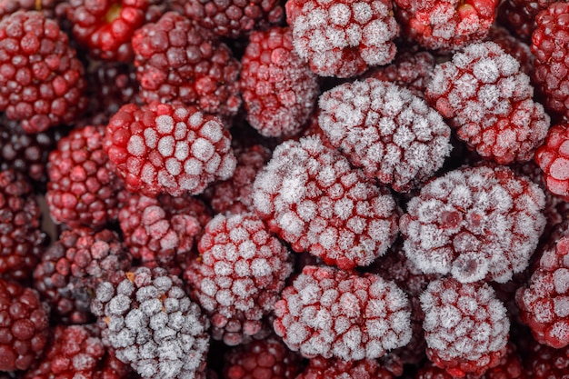 Free Photo snowy fresh blackberries . close-up. horizontal.