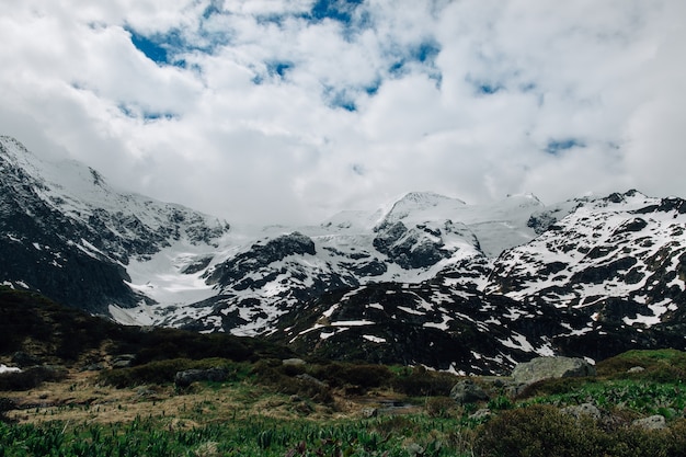 Free photo snowy mountain in swiss alps. summer landscape