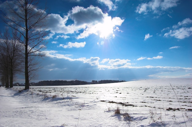 Free photo snowy mountain