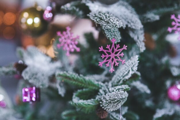 Snowy pine with purple flowers