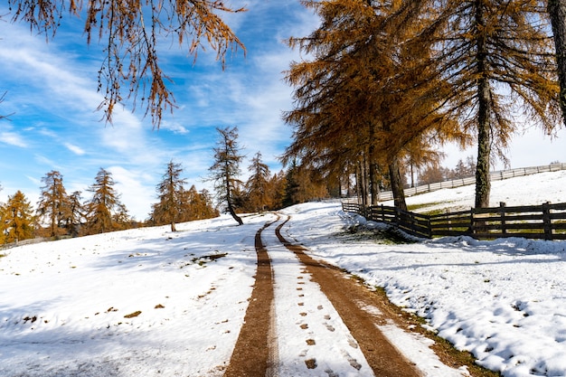 Free photo snowy road in south tyrol, dolomites, italy