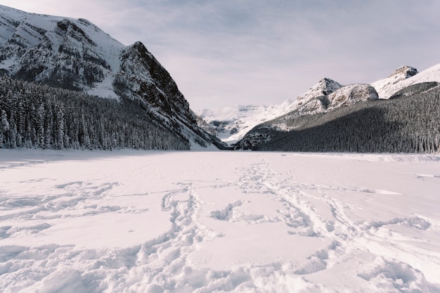 Free photo snowy valley in mountains