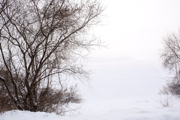 Snowy winter environment