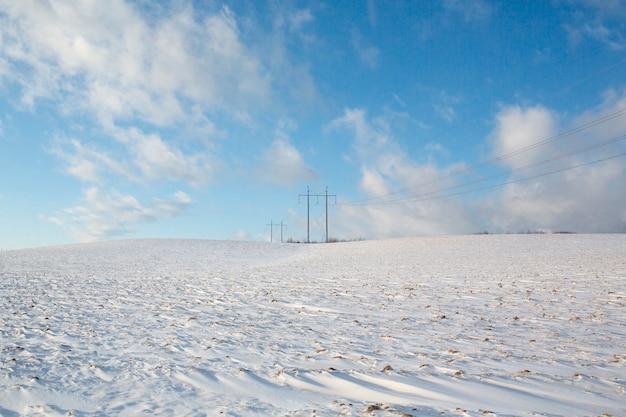 Free photo snowy winter environment