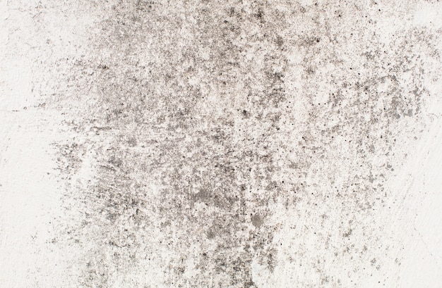 Free photo soft concrete texture