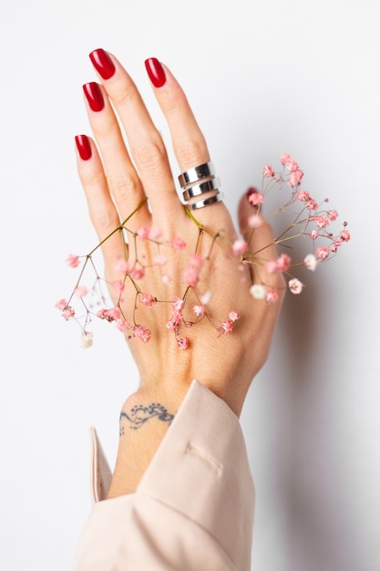 Soft gentle photo of woman hand with big ring red manicure hold cute little pink dried flowers on white.