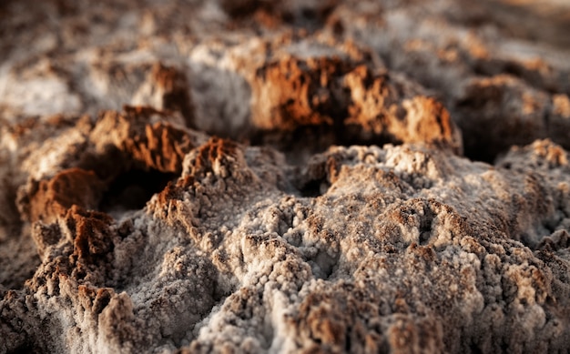 Free photo soil details of an undiscovered planet in the universe