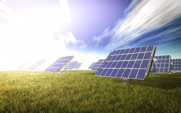 Solar panels in a meadow