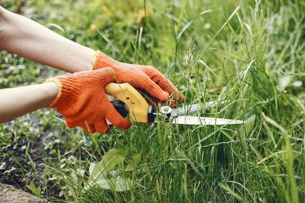 Free photo someone trimming bushes with garden scissors