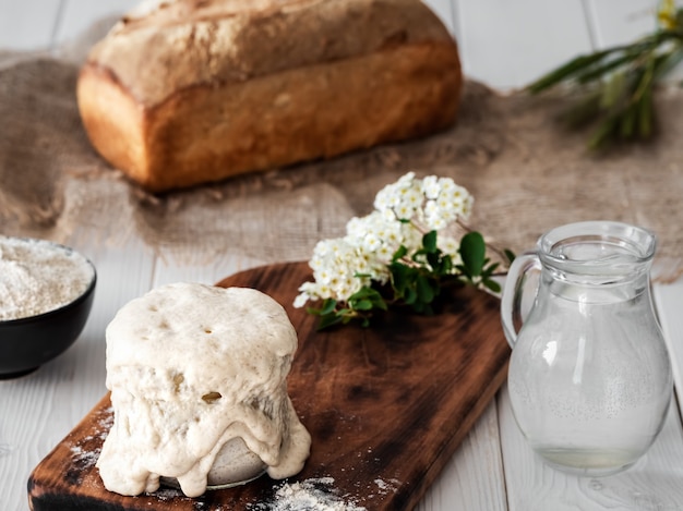 Sourdough for making bread at home