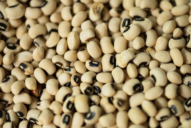 Soy beans texture background