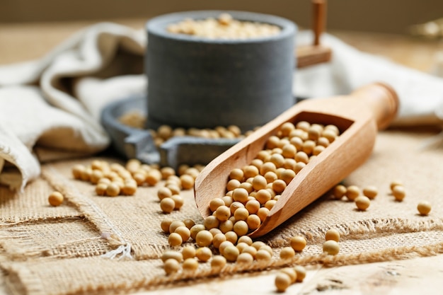 Soybeans in wooden scoop and a little stone mill