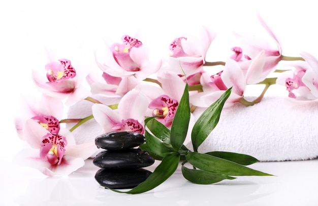 Free photo spa stones and beautiful orchid