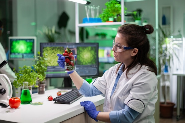 Specialist researcher holding organic strawberry analyzing gmo fruits