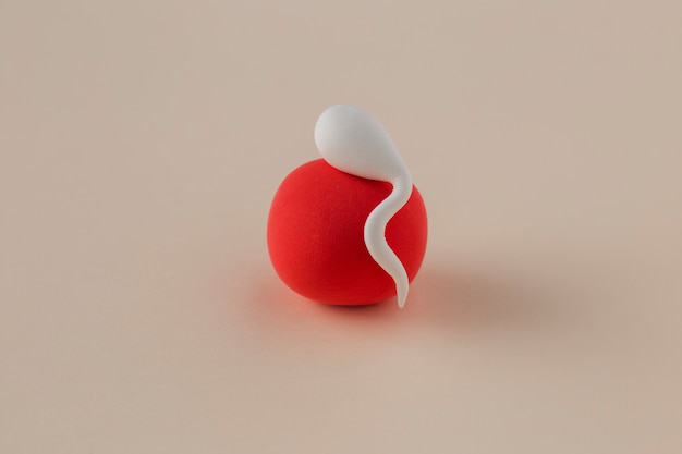 Free Photo spermatozoa and red ovule fertility concept