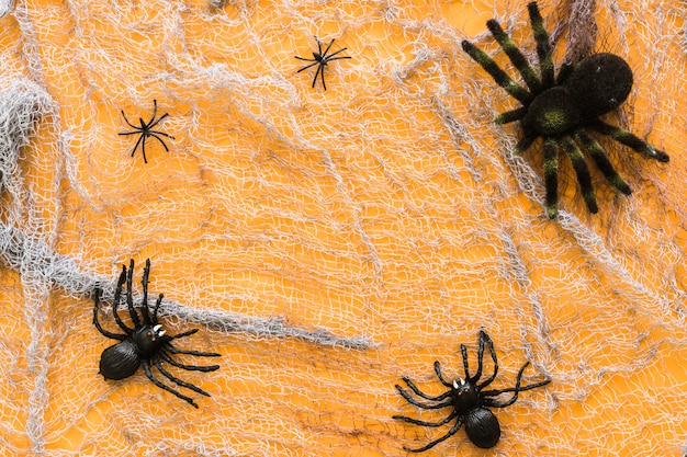 Free Photo spider composition for halloween