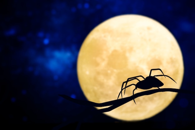 Free photo spider silhouette over a full moon