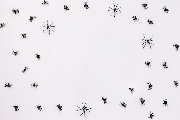 Free Photo spiders crawling on white background 