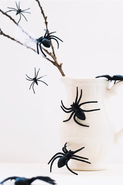 Free Photo spiders on jug and branch