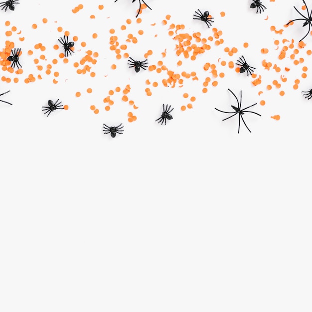 Free Photo spiders and orange confetti 