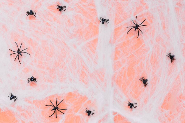 Spiders on web decoration for Halloween 