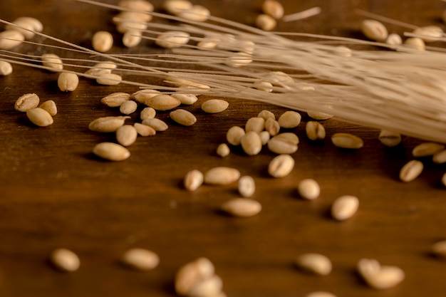 Spike wheat and granules scattered on table