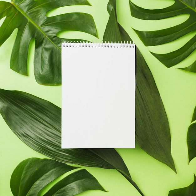 Free photo spiral notepad over green leaves on background