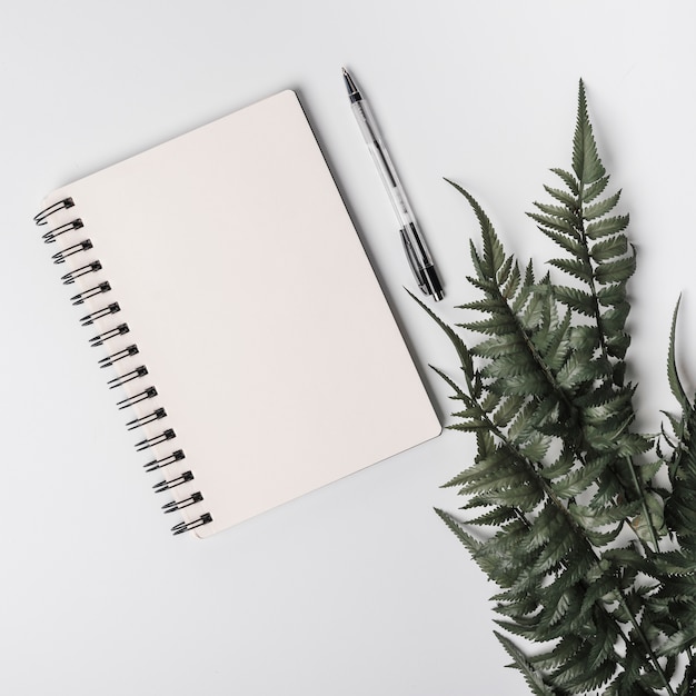 Spiral notepad; pen and green fake fern leaves on white background