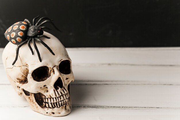 Spooky skull with spider on top