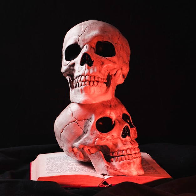 Free photo spooky skulls with red highlight