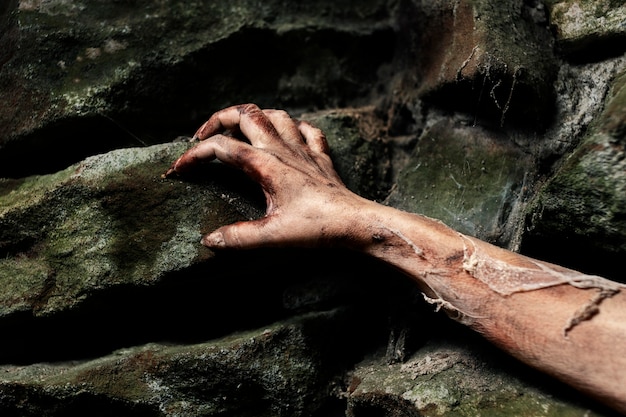 Free photo spooky zombie hand in nature