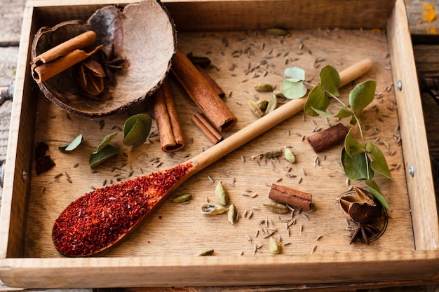 Spoon with indian traditional spice