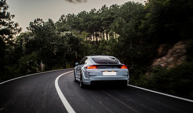 Free photo a sport car with black white autotuning driving to the forest.