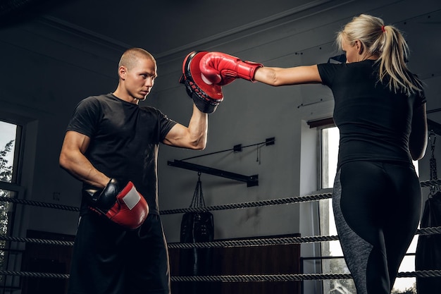 Free Photo sportive blond woman has boxing training with her experienced trainer.