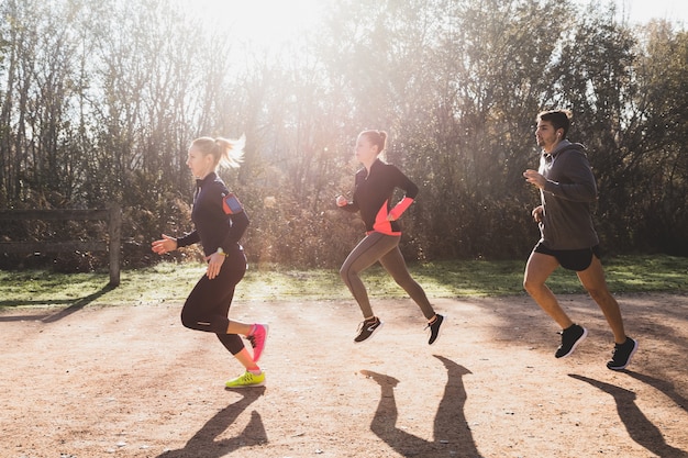 Free photo sportspeople running in a row