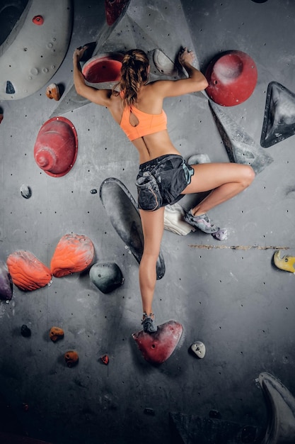 Free photo sporty female climbing on an indoor climbing wall.