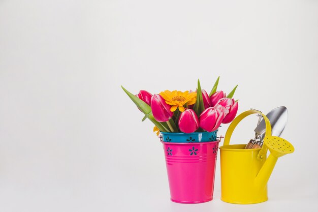 Spring background with flowers and watering can