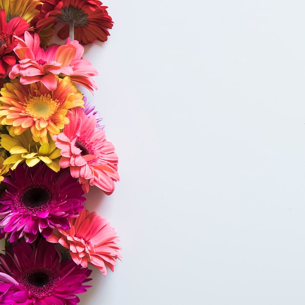 Free Photo spring concept with colorful flowers on right