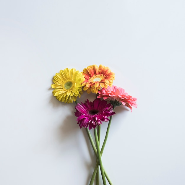 Free photo spring concept with four flowers