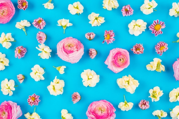 Spring flowers on colorful background